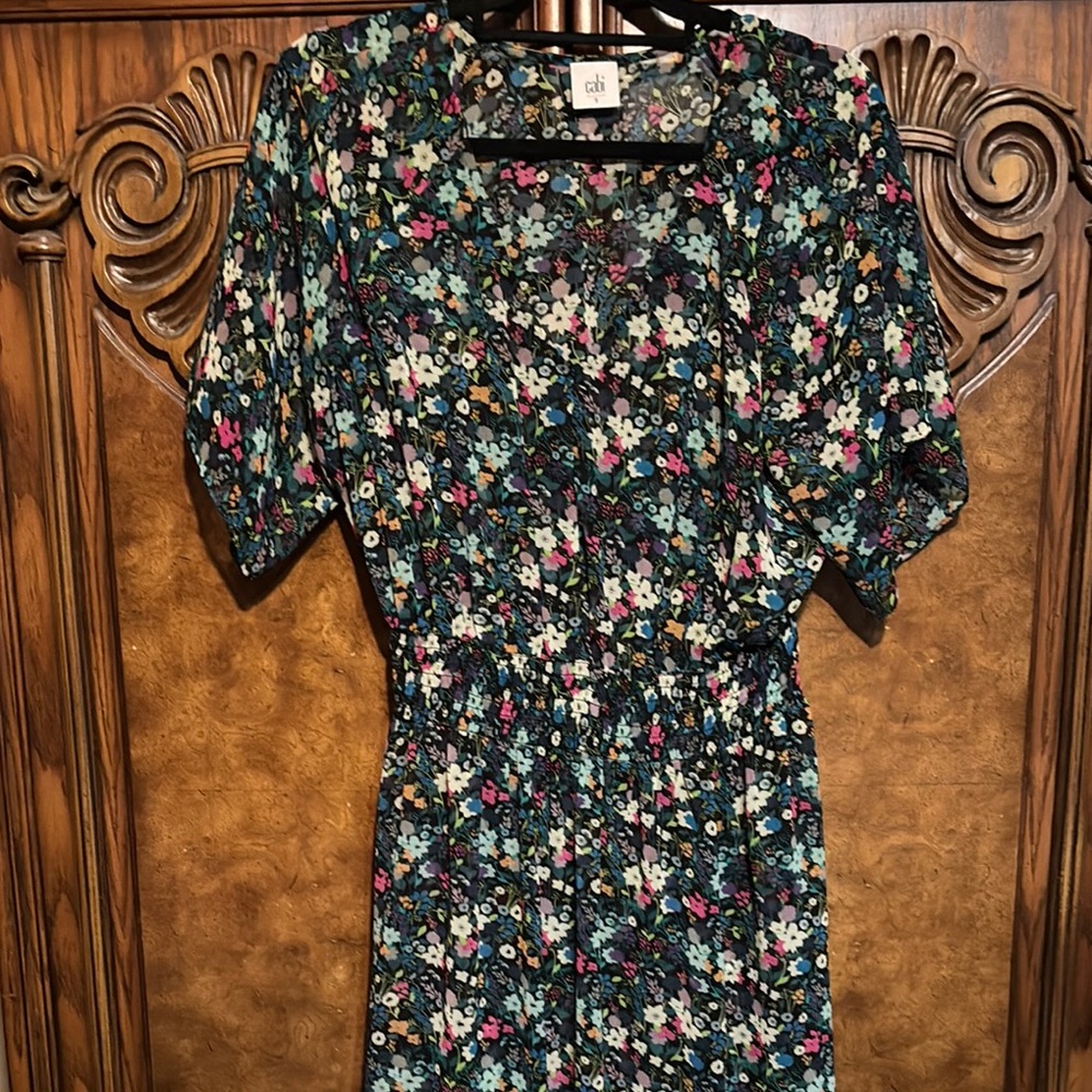 CAbi Puff SHEER Sleeve V-Neck Midi Dress in Pink and Green (R)